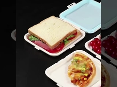 Sandwichcontainer voor lunchdoos