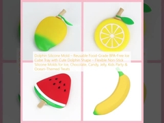 Dolphin Silicone Mould